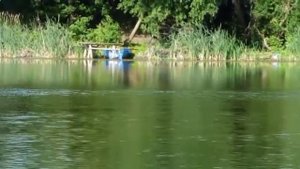 Музыка для всех-РЕЛАКС Класика Моцарт  Красивая музыка для души 480 x 8545891