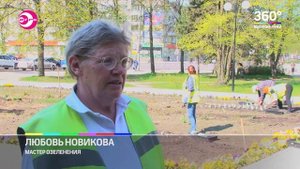 Посадка городских клумб