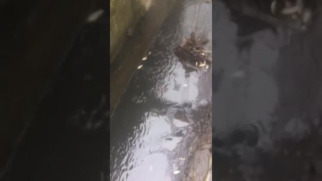 Імено рибалка руками смотреть онлайн