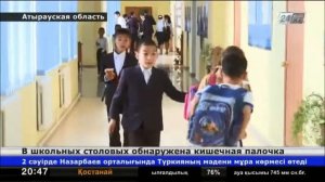 В школьных столовых обнаружена кишечная палочка