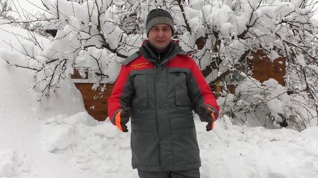 Виды обрезки плодовых деревьев и кустарников