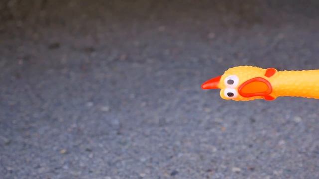 Crushing Crunchy & Soft Things by Car! - EXPERIMENT: CAR vs RAINBOW THINGS смотреть онлайн