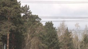 Ветреная погода и осадки ожидаются в Ангарске в первые дни мая.