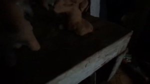 Костромской поэт - отшельник Сергей Потехин. Глина готова