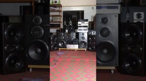 Loa pioneer x950v LOD F6 + AL 54D