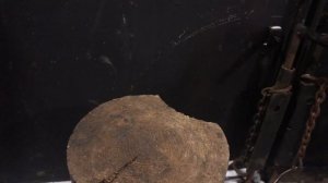 Масло в УАЗ патриот