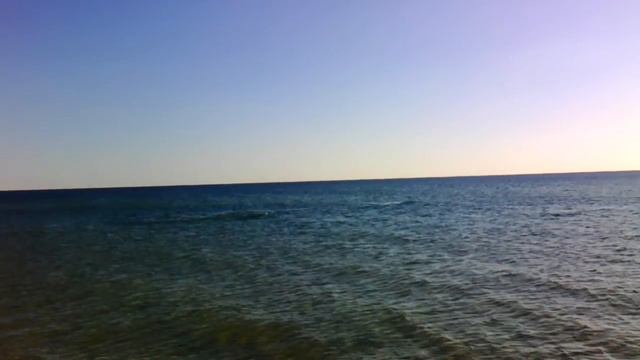 Кинбурнская коса. 4 дельфина у берега смотреть онлайн