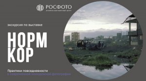 Погружение в «НОРМКОР»: Видео-экскурсия с куратором Елизаветой Воробьевой