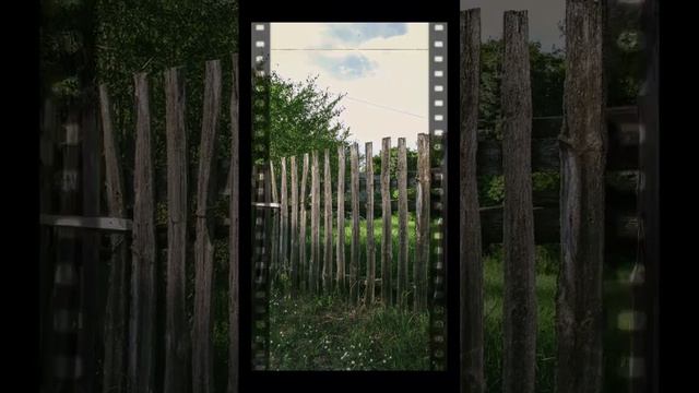 Canon SX150 is #canon #canonphotography #belarus #беларусь #светлогорск #photo #nature #деревня смотреть онлайн