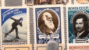 ФИЛАТЕЛИЯ Обзор хронологии СССР 1959 года // Коллекция Баскакова Геннадия