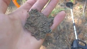 Прогулка по лесу с металлоискателем RGK MD-10