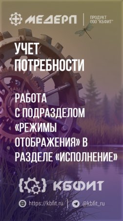 КБФИТ: МЕДЕРП. Учет потребности: Работа с подразделом «Режимы отображения» в разделе «Исполнение»