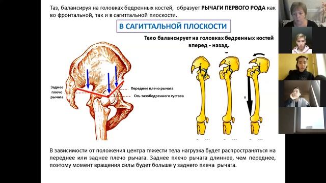 СУСТАВЫ НИЖНЕЙ КОНЕЧНОСТИ