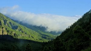 Relaxing music and sea of clouds in Caldera de Taburiente National Park - La Palma