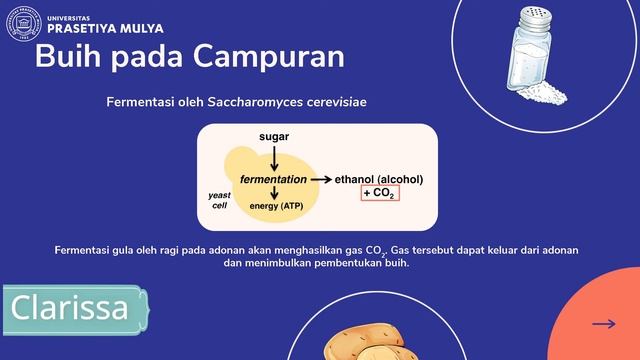 Food Fermentation Pizza Group A смотреть онлайн