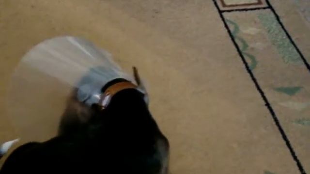 Итон и воротник смотреть онлайн