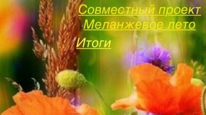 СП Меланжевое лето. Итоги.