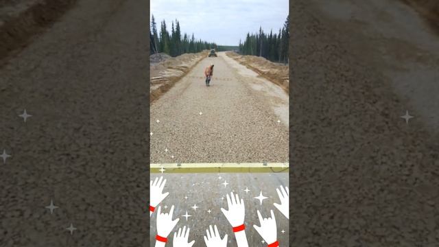 Укатка щебня под уровень смотреть онлайн