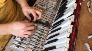 Установка клапанов на аккордеон weltmeister