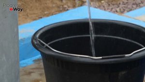 Топ-5 средств для обеззараживания теплицы. Приведите теплицу в порядок для большого урожая!