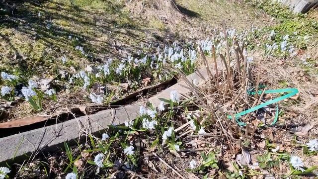 Как оборудую пол для сауны #195 смотреть онлайн