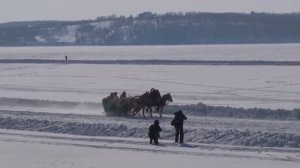 Новогодняя песня (М. Шилова, Г. Рязанцева - М. Шилова) (исп. М. Шилова)