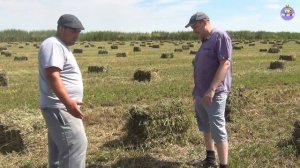 6-серия. Обогащение почвы земли после люцерны Джеа (28-06-2018)