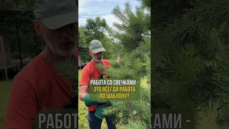 Работа со свечками всегда по шаблону?