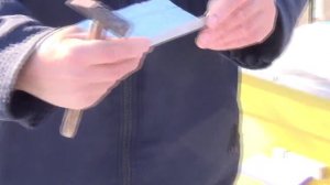 Пасика // Защита Пчел от Синичек и от Ветра //