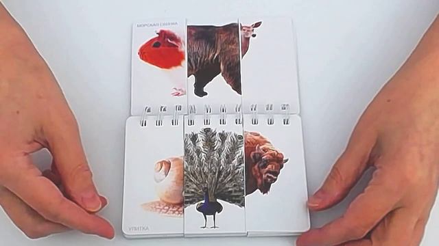 Шпаргалки для мамы. Собираем животных смотреть онлайн