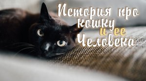 История про Кошку и ее Человека - Саша Бест | Стихи