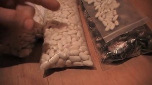 Как спасти фасоль от жучков без химии Сад и огород 077 выпуск