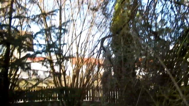 Nikon Coolpix S9500: Example Photos and Videos смотреть онлайн