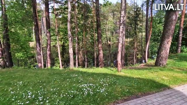 Территория санатория UPA в Друскининкай Литва  LITVA.LT