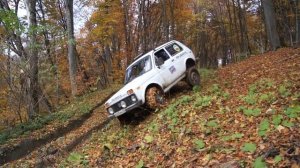 нива на каме флейм