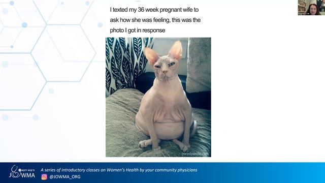 Womens Health Webinar: Obstetrics Basics: Part I