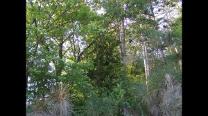 Prelude Pour Piano - St Preux