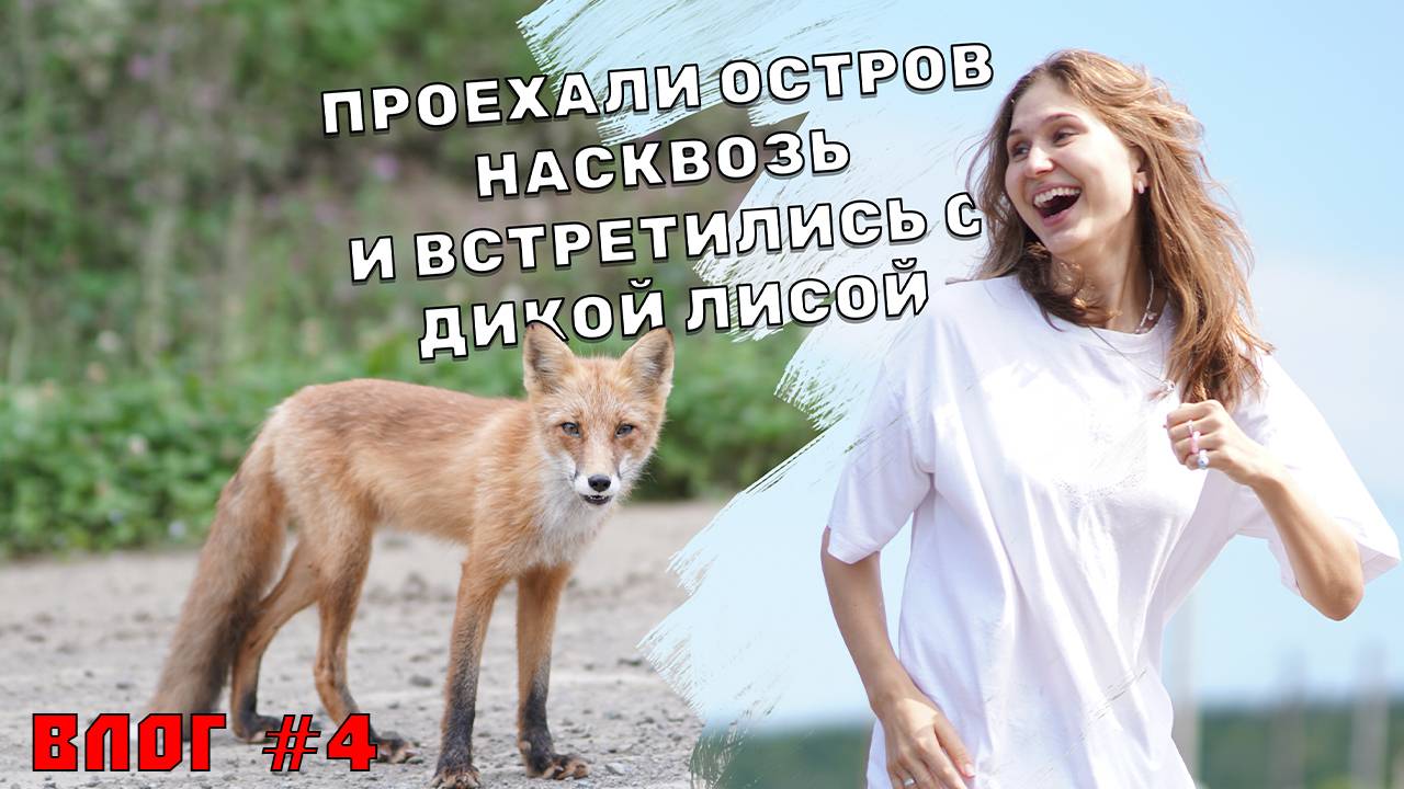 Влог #4 - три выступления за три дня, встреча с дикими лисами и косячный первый показ