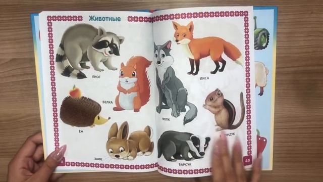 Энциклопедия для детей от 6 месяцев до 3 лет смотреть онлайн