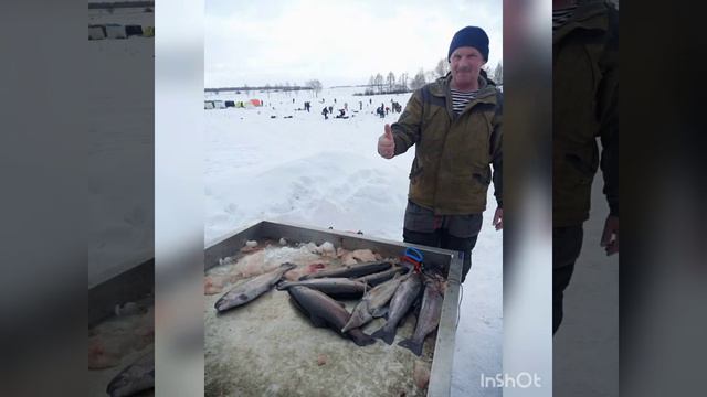 рыбалка в кокино ,форель ,осетр,толстолоб,налим . !!!! смотреть онлайн