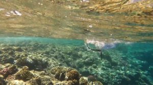 Рыбалка с берега в Красном Море / Хургада 2023 / Дикий риф