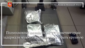 Подмосковные полицейские в Солнечногорске задержали мужчину, пытавшегося сбыть крупную партию гашиша