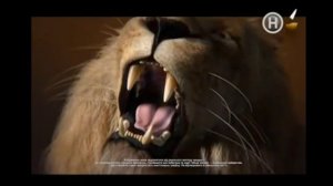 Реклама Lion (Новый канал, март 2018)/ батончик Лайон/ Реклама сладостей