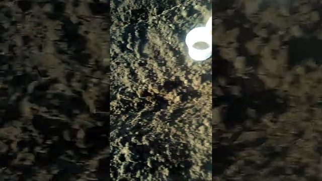 Как посадить морковь на дачном участке. Как подготовить Грядку для посадки. смотреть онлайн