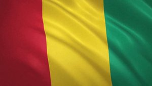 Развевающийся флаг Гвинеи / Waving Flag of Guinea