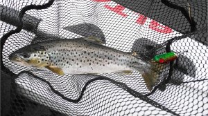 Поиск и ловля кумжи на Ловозере Рыбалка на Кольском полуострове