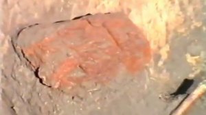 Тайны Власовских курганов. Грибановка. 2018