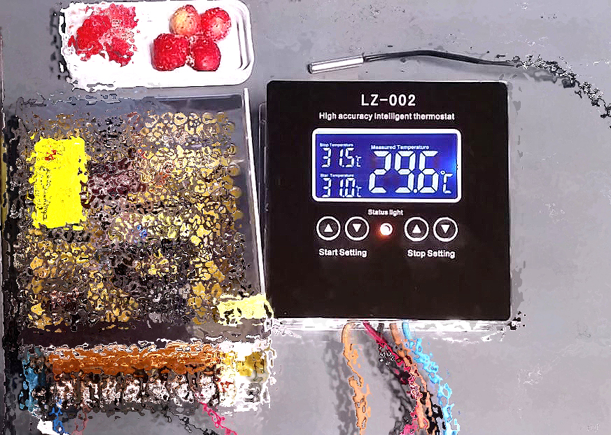 Красивый и информативный Экран Контроллера температуры LZ002 12-220V