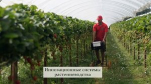 HALL HUNTER SEASONAL WORK - RUSSIAN - Вакансии по сбору фруктов в Великобритании доступны уже сейча