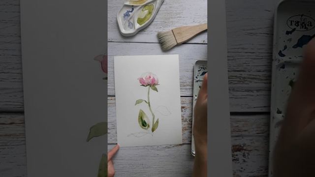 Flower in watercolour. Пион акварелью